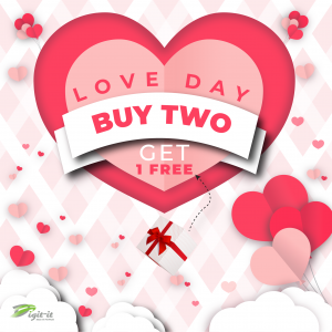 Embroidery Digitizing For love day